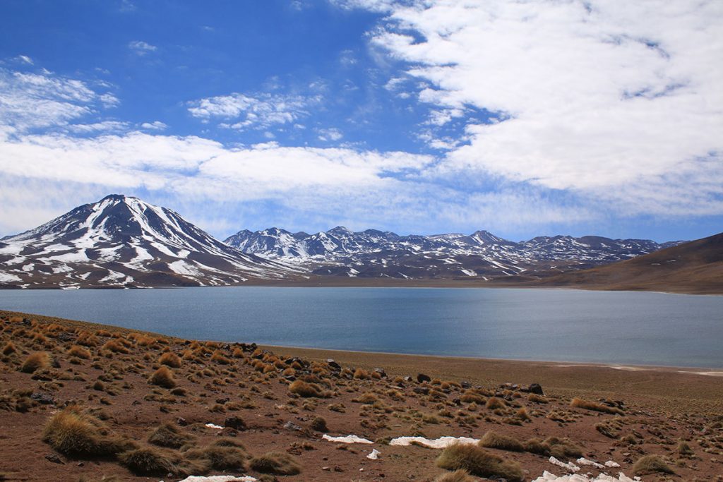 Piedras Rojas + Lagunas Altiplánicas (Miscanti y Miñiques)