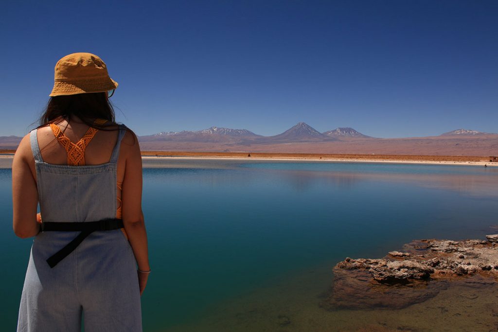 Laguna cejar, ojos del salar y Laguna tebenquiche